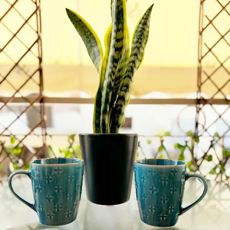 Fotini Comfy Place Καλαμάτα