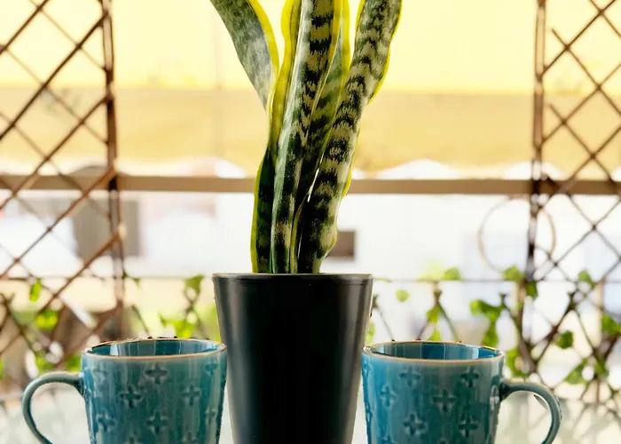 Fotini Comfy Place Kalamáta